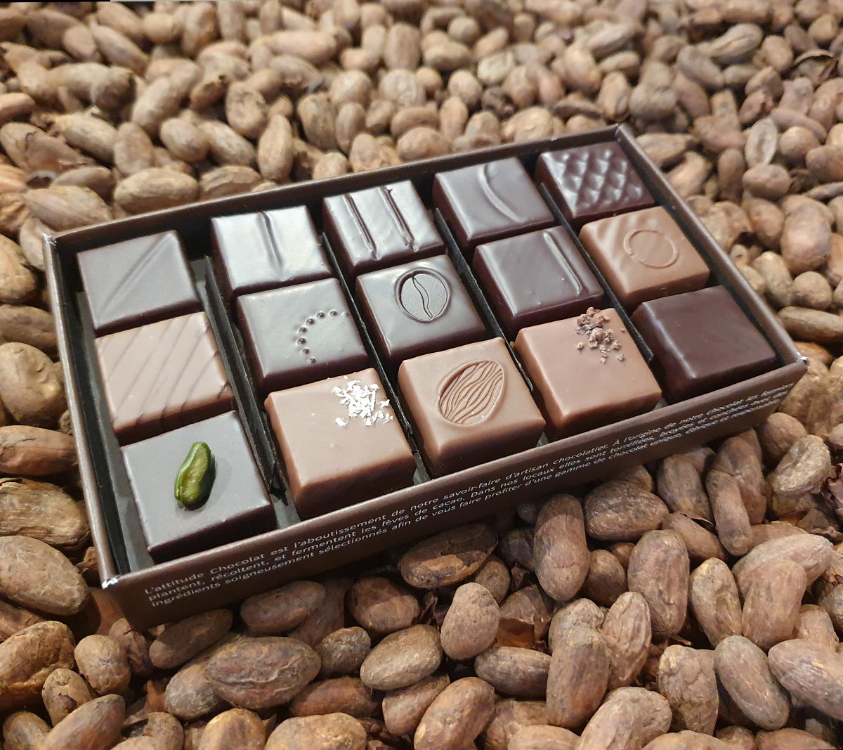 cacao